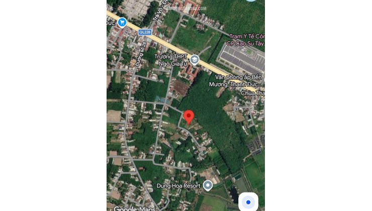 Bán đất tặng nhà, diện tích 1140m2 full đất ở tại Thạnh Đức, Gò Dầu, Tây Ninh