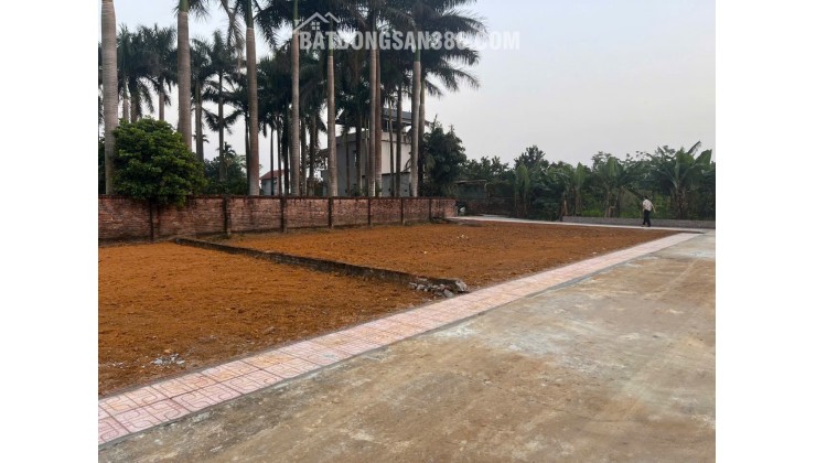 SĂN ĐẤT HÒA LẠC – 100M² NỞ HẬU, SÁT TRỤC DH09 PHÚ CÁT!