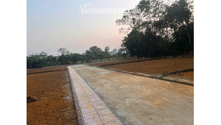SĂN ĐẤT HÒA LẠC – 100M² NỞ HẬU, SÁT TRỤC DH09 PHÚ CÁT!