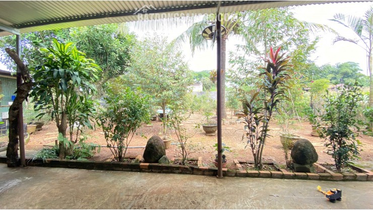 Nhà thuộc phú hội cũ - đức trọng / lâm đồng – khu dân cư