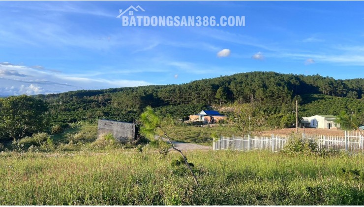 Cần Bán Đất 143m², 93m² Đất Ở, 2 Mặt Tiền, Thế Dương, View Thông