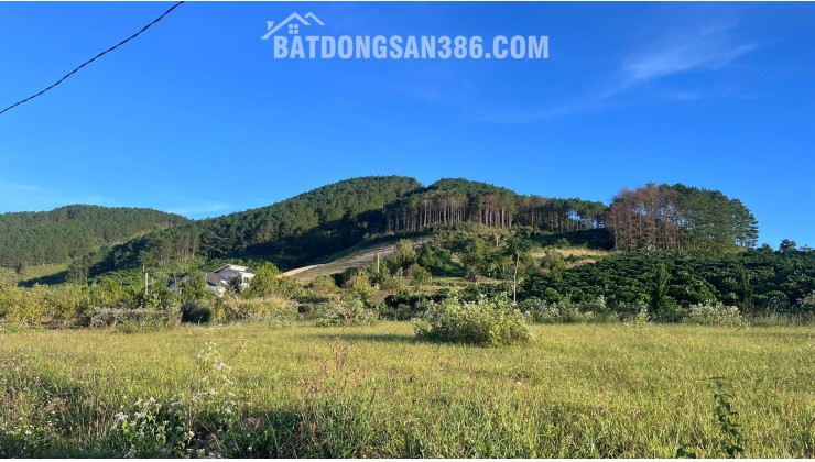 Cần Bán Đất 143m², 93m² Đất Ở, 2 Mặt Tiền, Thế Dương, View Thông