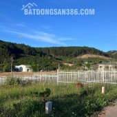 Cần Bán Đất 143m², 93m² Đất Ở, 2 Mặt Tiền, Thế Dương, View Thông