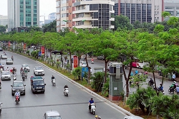 9 tháng đầu năm, Hà Nội trng được 144,7 nghìn cây đô thị