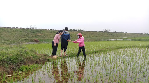 Hà Tĩnh: Chuyển đổi gần 60ha đất trng lúa sang đất phi nông nghiệp