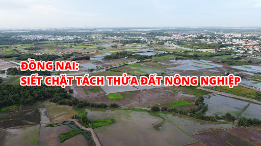 Đng Nai siết quy định tách thửa đất nông nghiệp