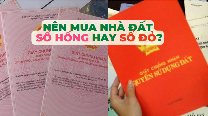 Nên mua nhà đất đã có sổ hồng hay sổ đỏ