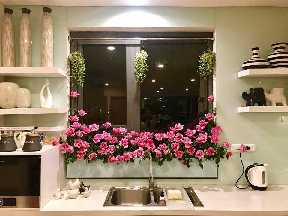 "Vườn hoa" độc đáo trên cửa sổ nhà bếp của bà mẹ khéo tay Hà Thành