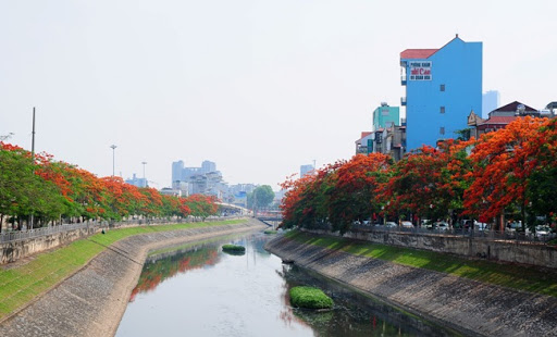 Nhật Bản muốn tài trợ xử lý nước sông Tô Lịch: Mùi nước giảm ngay sau 3 ngày!