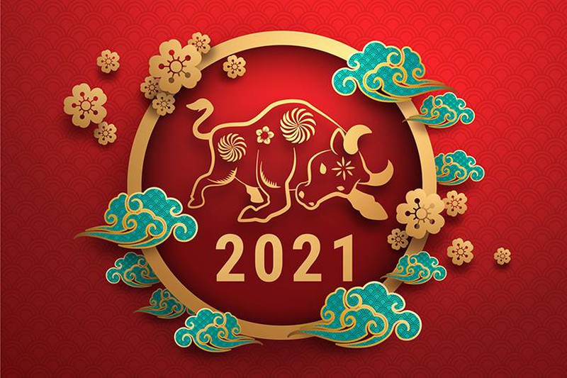 bang-xep-hang-tai-van-cua-12-con-giap-trong-nam-2021-hinh-2.jpg