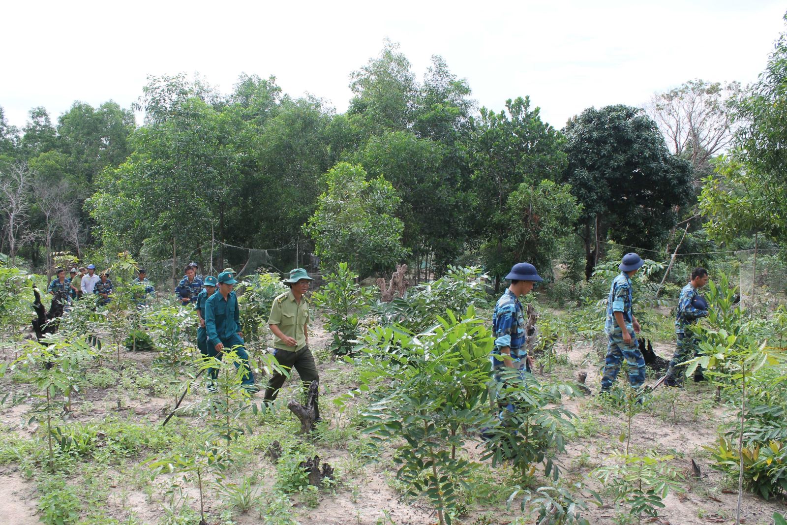 chuyen-nhuong-dat-rung-san-xuat.jpg