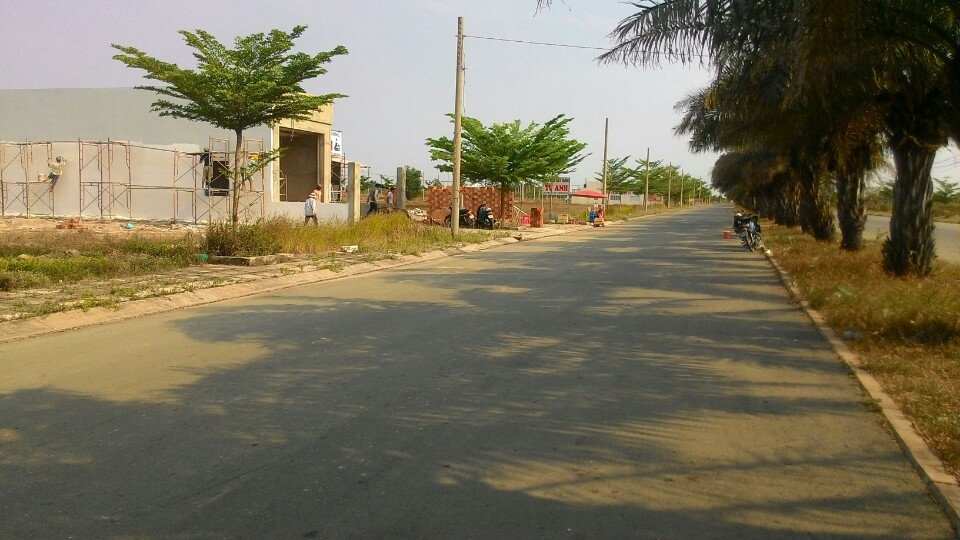 dat-binh-chanh-dung-gia-1497253065.jpg