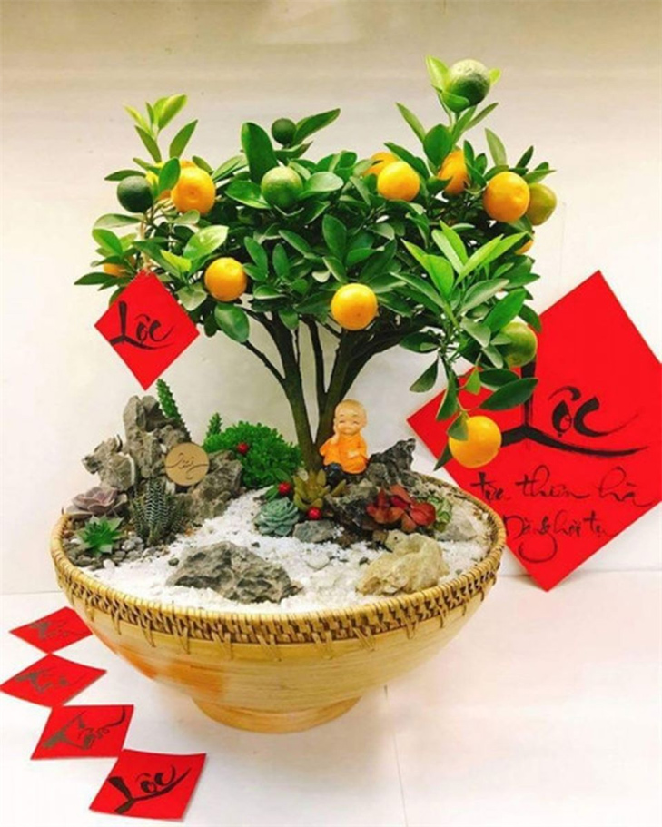 dat-cay-canh-tai-loc.jpg