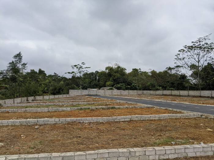 dat-nen-hoa-lac-202209050739010.jpg