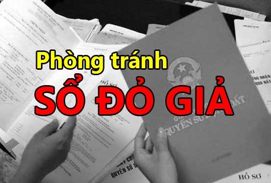 so-hong-gia1.jpg