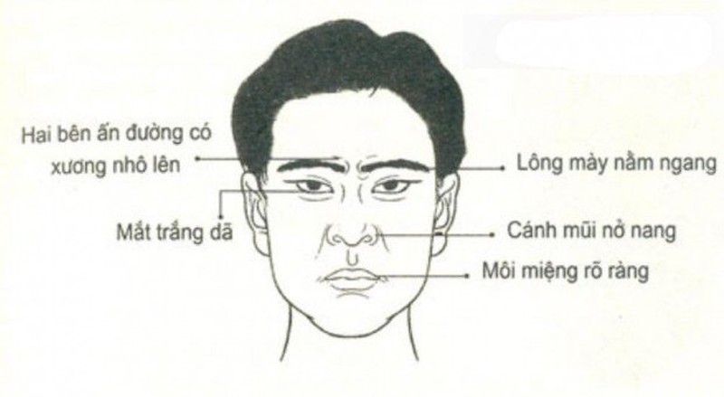 trong-mat-bat-hinh-dong-kieu-1-tai-ba-xuat-chung-kieu-2-bat-tai-hinh-2.jpg